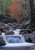 Irreler Wasserflle