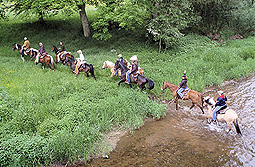 Reithof Montana Ranch