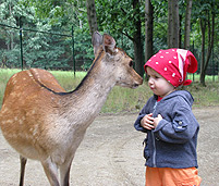 Tierpark Gondorf